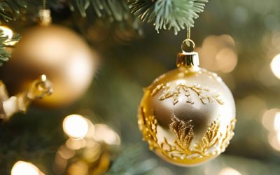 Limited X-Max Editions 2025!