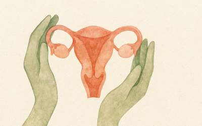 Hormonbalance: Diese 5 Säulen braucht dein Zyklus wirklich