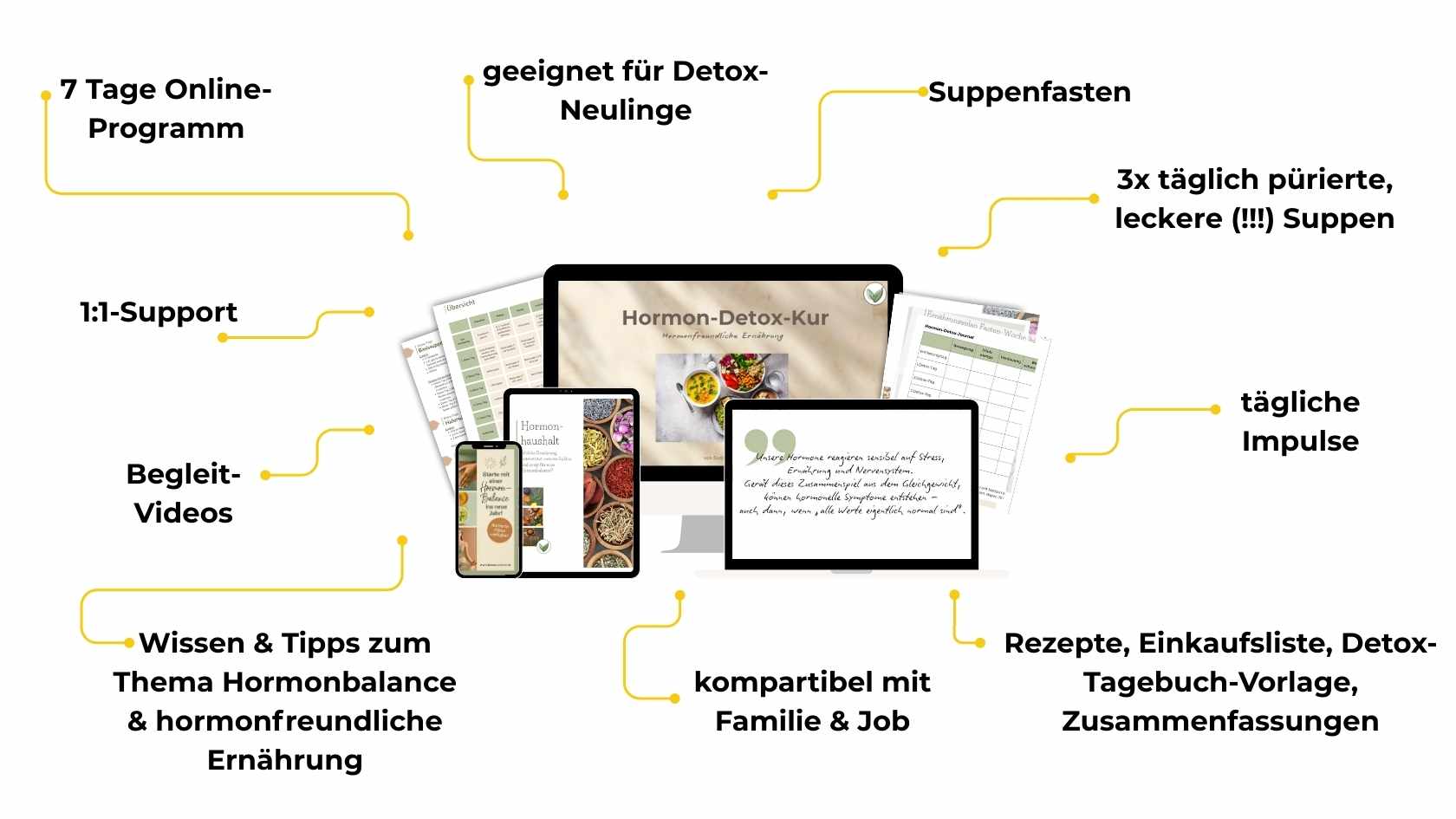 Hormon-Detox-Kur_Übersicht Inhalte